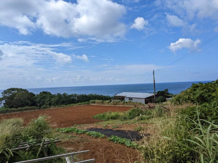 徳之島の赤土